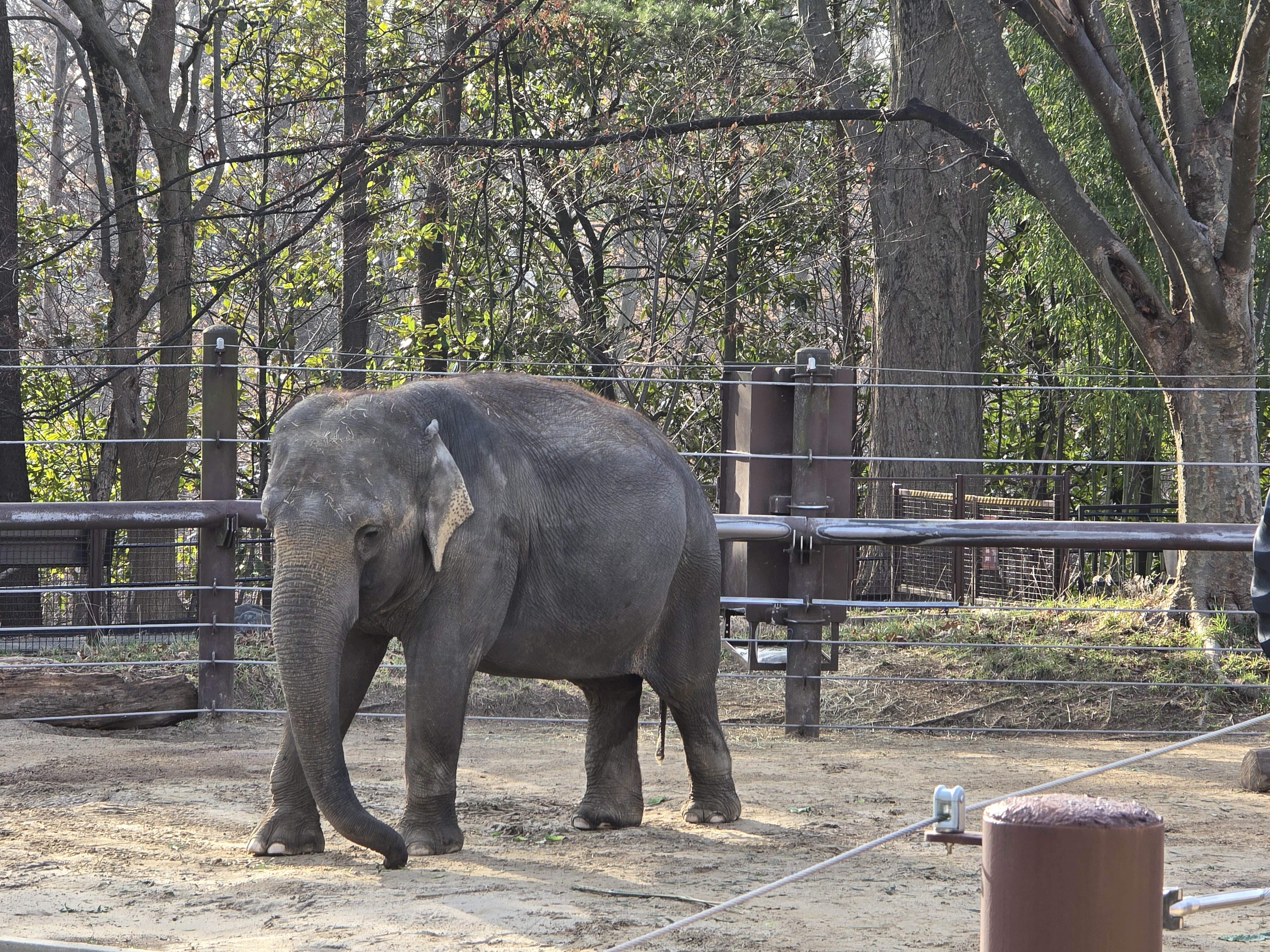 National Zoo