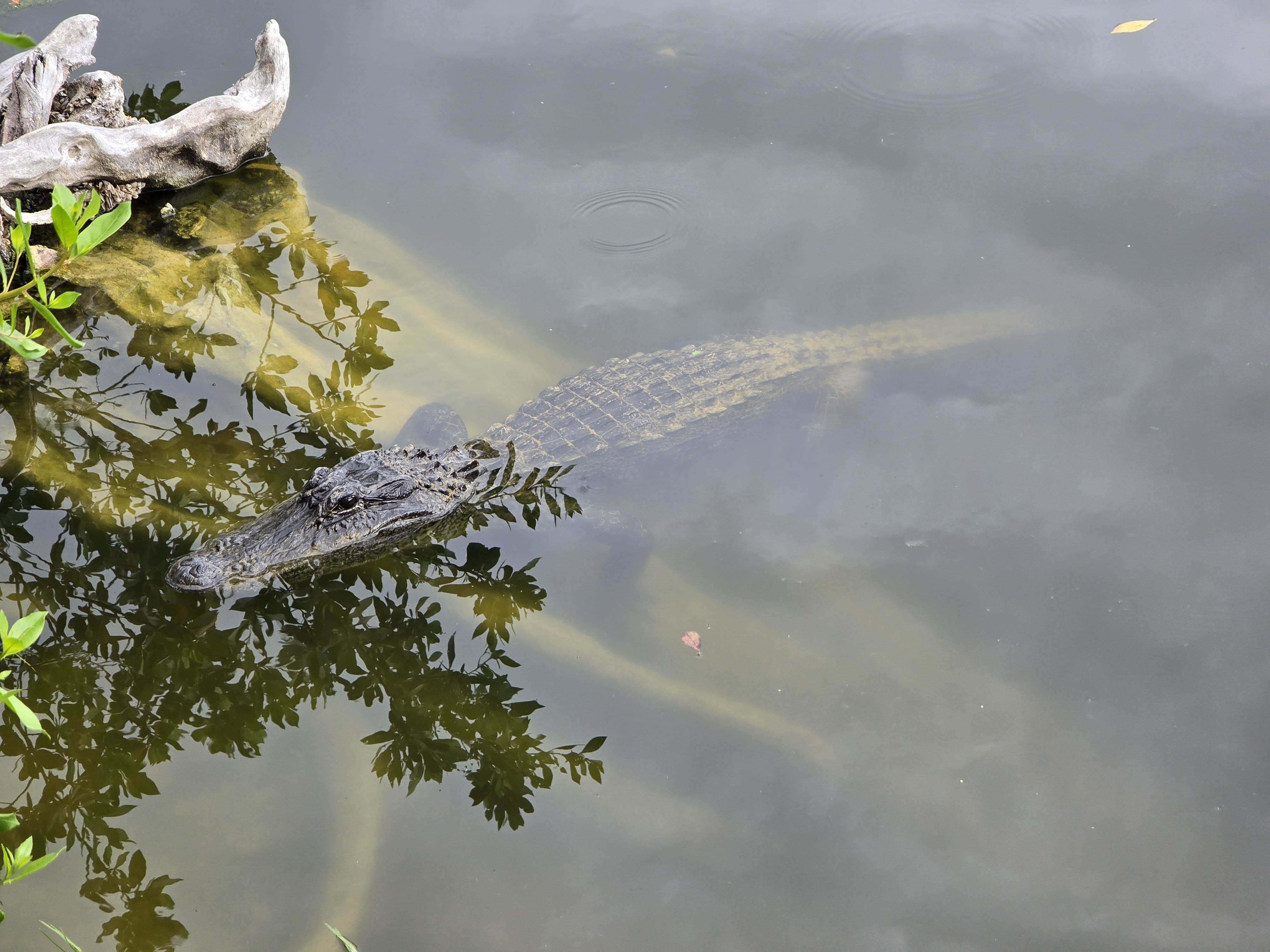 Florida National Parks