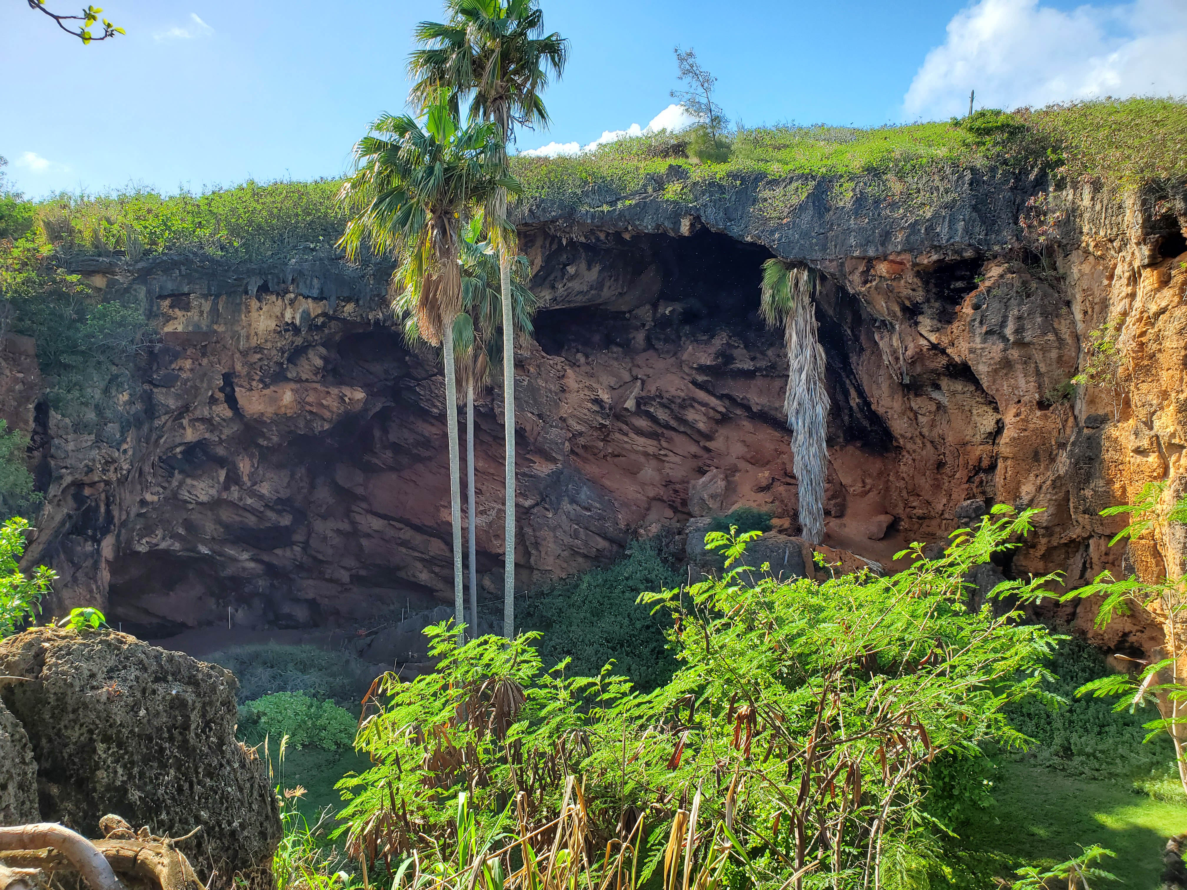 Waimea Canyon