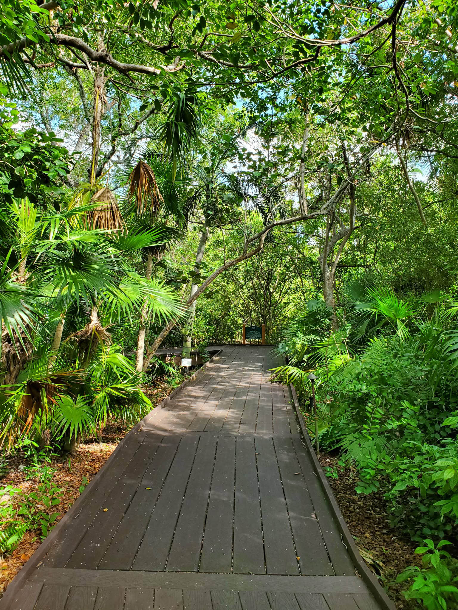 Key West Tropical Forest & Botanical Garden
