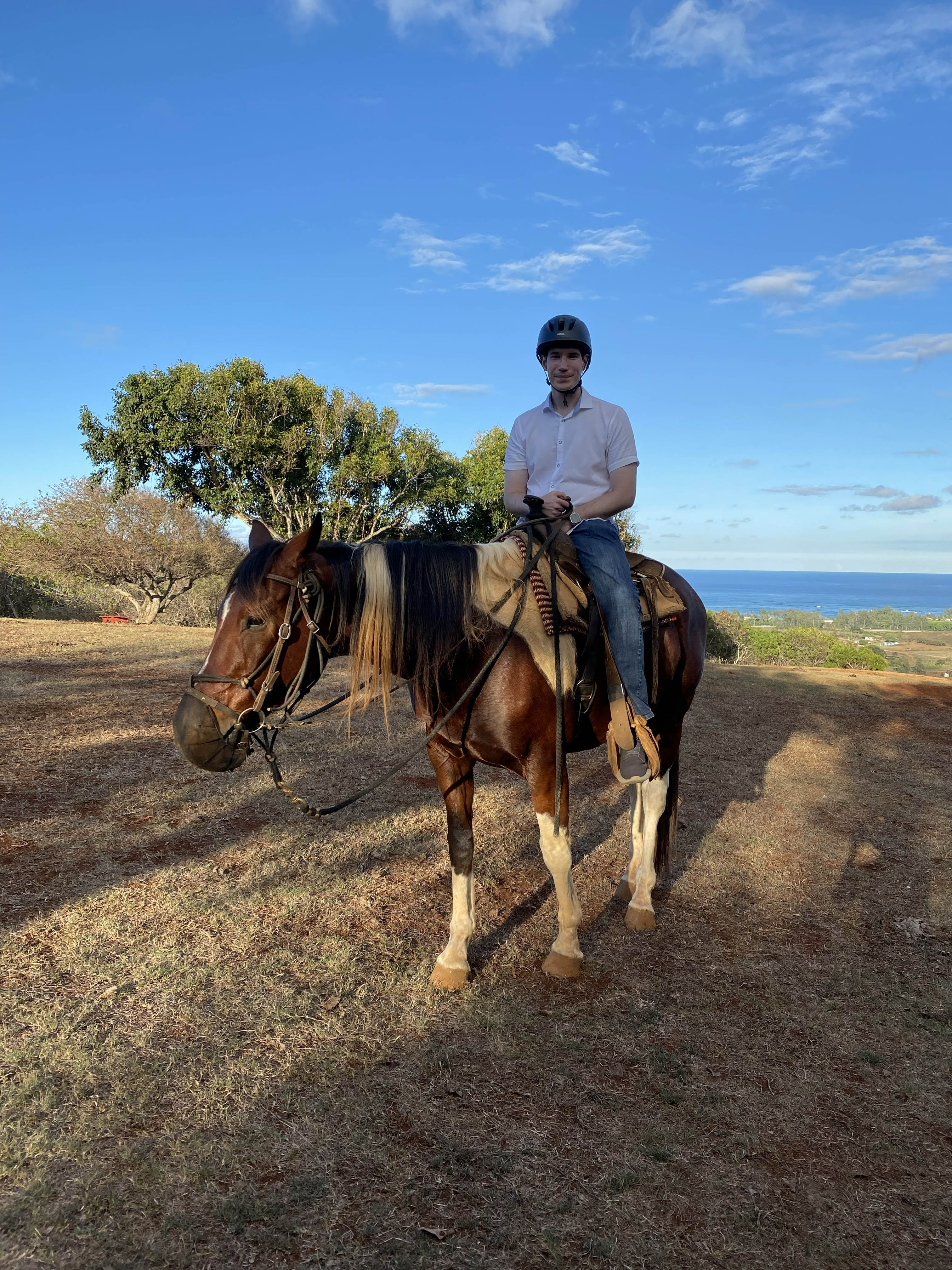 Oahu Horseback Riding